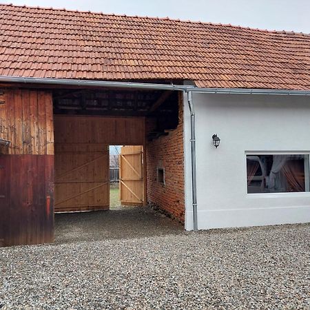 Casuta De Sub Munte Cartisoara Villa Dış mekan fotoğraf